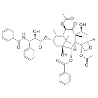 紫杉醇 10-DAB半合成紫杉醇 现货供应 厂家直销